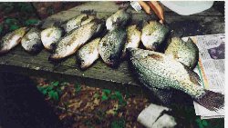 Click here for minnesota lakehomes,cross lake lakehomes,commercial property listings in minnesota,pequot lakes real estate,nisswa property and brainerd minnesota real estate