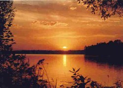 Click here for commercial property listings in minnesota,pequot lakes real estate,nisswa property,brainerd minnesota real estate,real estate in brainerd Minnesota and crosslake mn property