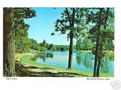 Click here for brainerd real estate,reliable realtors in minnesota,crosslake real estate agent,minnesota property finder,minnesota lakehomes and cross lake lakehomes